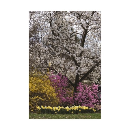 Kurt Shaffer Photographs 'Multi-color Spring Explosion' Canvas Art,16x24